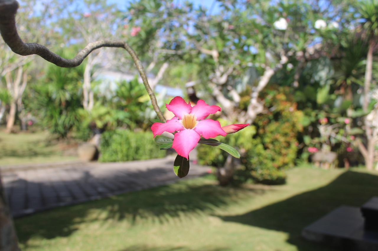 El Homestay Bali Nusa Dua (Bali) Exterior foto