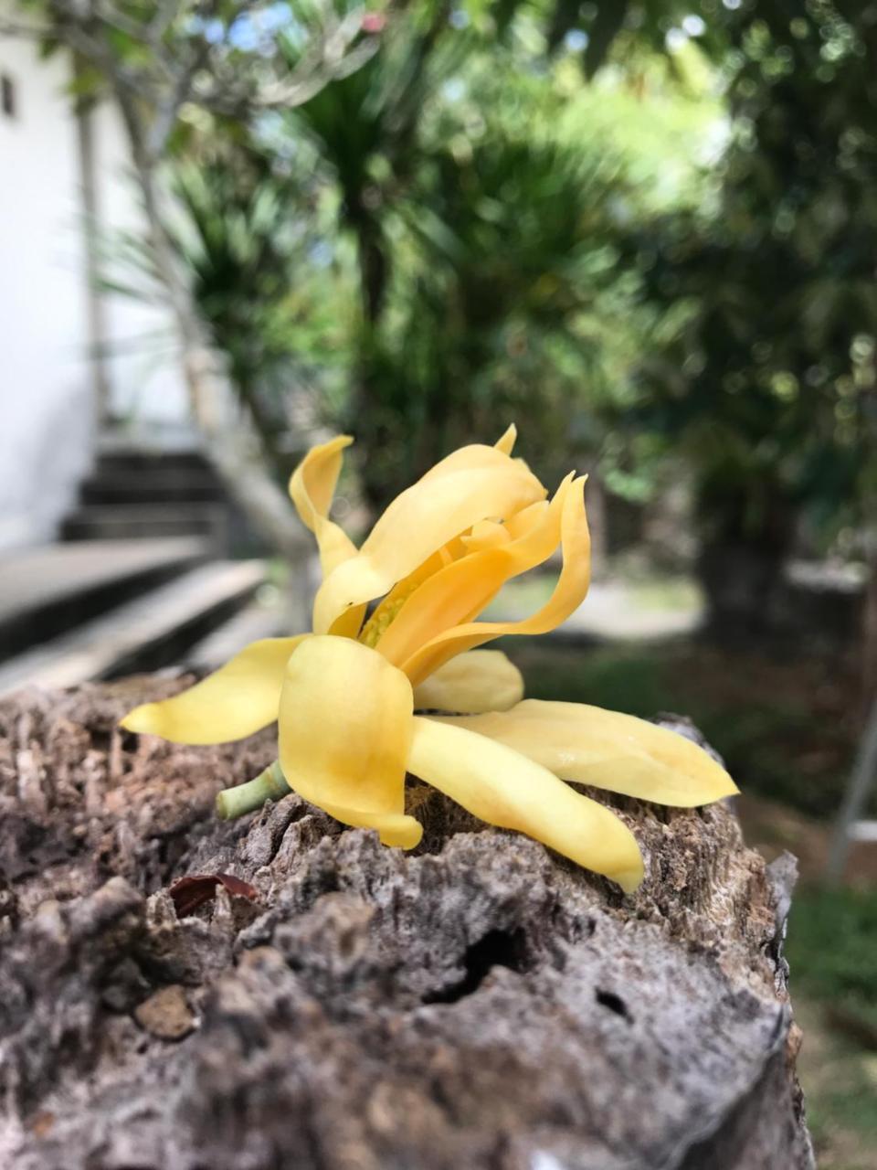 El Homestay Bali Nusa Dua (Bali) Exterior foto